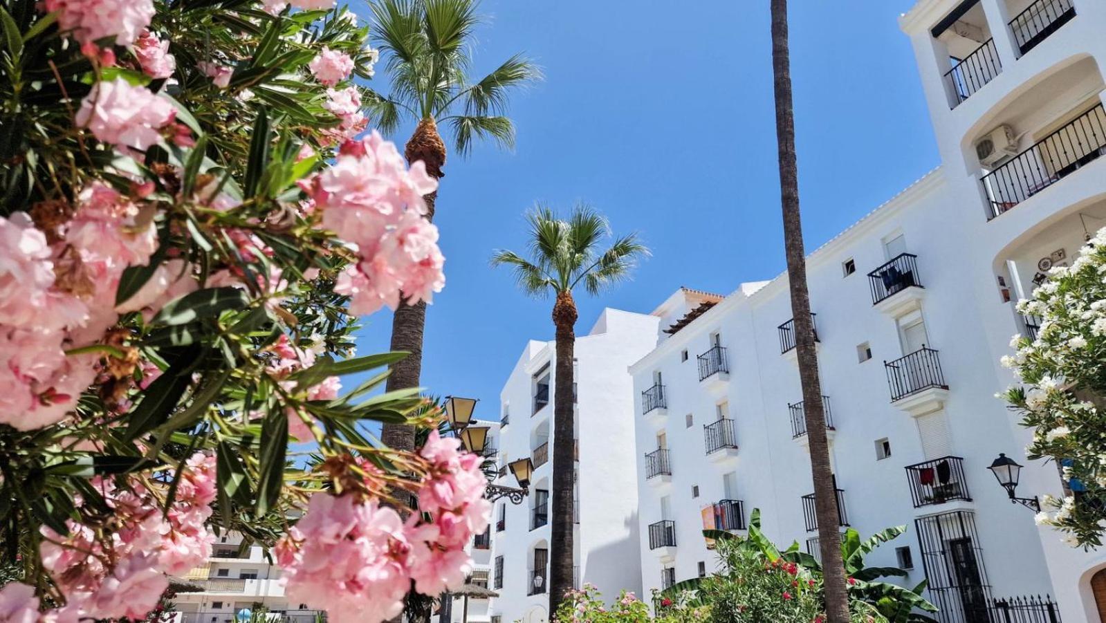 Beautiful Beachfront Newly Renovated 2 Bedroom Apartment With Swimming Pool And Garden سان لويس ذي سابينيل المظهر الخارجي الصورة